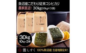 令和6年産！魚沼産こだわり従来コシヒカリ【農家直送!】10kg×3袋