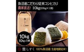 令和6年産！魚沼産こだわり従来コシヒカリ【農家直送!】10kg×1袋