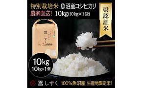 令和6年産！県認証特別栽培魚沼産コシヒカリ【農家直送！】 10kg×1袋