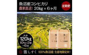 【令和6年産】定期便！魚沼産コシヒカリ【合計120kg】毎月20kg×6回