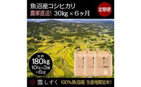 【令和6年産】定期便！魚沼産コシヒカリ【合計180kg】毎月30kg×6回