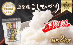 【令和6年産 新米予約】 魚沼産 コシヒカリ 2kg 精米 農家のこだわり 新潟県 十日町市 お米 こめ 白米 コメ 食品 人気 おすすめ 送料無料