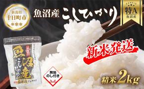 【令和6年産 新米予約】 無地熨斗 魚沼産 コシヒカリ 2kg 精米 農家のこだわり 新潟県 十日町市 お米 こめ 白米 コメ 食品 人気 おすすめ 送料無料