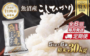 【定期便】 新潟県 魚沼産 コシヒカリ お米 30kg×計6回 精米済み 半年間 毎月発送 こしひかり（お米の美味しい炊き方ガイド付き）