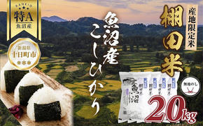 【無地熨斗】 棚田米 魚沼産 コシヒカリ 20kg 新潟県 十日町市 松代地区 限定 棚田 こしひかり （お米屋秘伝！美味しいご飯の炊き方ガイド付き）