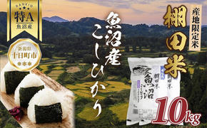 棚田米 魚沼産 コシヒカリ 10kg 新潟県 十日町市 松代地区 限定 棚田 こしひかり （お米屋秘伝！美味しいご飯の炊き方ガイド付き）