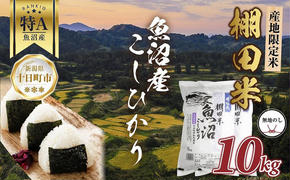 【無地熨斗】 棚田米 魚沼産 コシヒカリ 10kg 新潟県 十日町市 松代地区 限定 棚田 こしひかり （お米屋秘伝！美味しいご飯の炊き方ガイド付き）