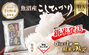 【令和6年産 新米予約】 無地熨斗 無洗米 魚沼産 コシヒカリ 5kg 新米 農家のこだわり 新潟県 十日町市 お米 こめ 白米 コメ 食品 人気 おすすめ 送料無料