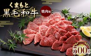 FKK19-832_くまもと黒毛和牛 焼肉用 500g