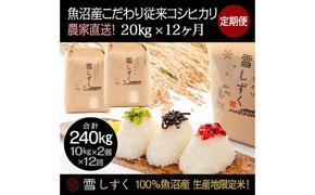 【令和6年産】定期便！魚沼産こだわり従来コシヒカリ【合計240kg】毎月20kg×12回