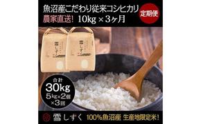 【令和6年産】定期便！魚沼産こだわり従来コシヒカリ【合計30kg】毎月10kg×3回