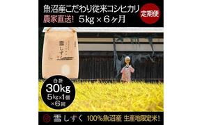 【令和6年産】定期便！魚沼産こだわり従来コシヒカリ【合計30kg】毎月5kg×6回