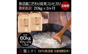 【令和6年産】定期便！魚沼産こだわり従来コシヒカリ【合計60kg】毎月20kg×3回