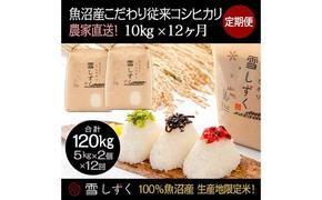 【令和6年産】定期便！魚沼産こだわり従来コシヒカリ【合計120kg】毎月10kg×12回