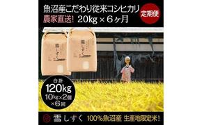 【令和6年産】定期便！魚沼産こだわり従来コシヒカリ【合計120kg】毎月20kg×6回