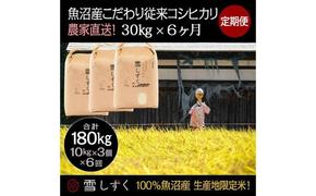 【令和6年産】定期便！魚沼産こだわり従来コシヒカリ【合計180kg】毎月30kg×6回