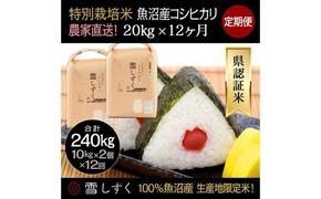 【令和6年産】定期便！農家直送！県認証特別栽培魚沼産コシヒカリ【合計240kg】毎月20kg×12回