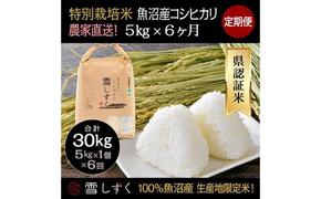 【令和6年産】定期便！農家直送！県認証特別栽培魚沼産コシヒカリ【合計30kg】毎月5kg×6回