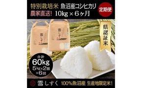 【令和6年産】定期便！農家直送！県認証特別栽培魚沼産コシヒカリ【合計60kg】毎月10kg×6回