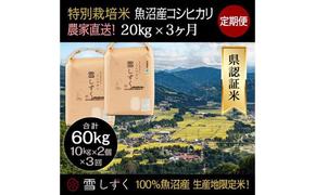 【令和6年産】定期便！農家直送！県認証特別栽培魚沼産コシヒカリ【合計60kg】毎月20kg×3回