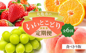 フルーツ定期便 丸亀市のいいとこどり定期便/ 少人数でも楽しみやすい食べきり版【全6回】シャインマスカット 桃 ピオーネ いちご みかん さぬきひめ 定期配送 頒布会 果実 果物