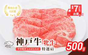 【最短7日以内発送】 神戸ビーフ 神戸牛 牝 特選肩 500g 川岸畜産 すき焼き しゃぶしゃぶ 焼肉 冷凍 肉 牛肉 すぐ届く