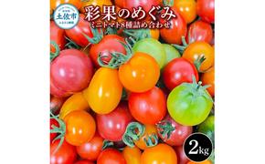 ＜2025年1月より発送＞彩果のめぐみ 2kg ミニトマト とまと 詰め合わせ 新鮮野菜 トマト 美味しい 野菜 厳選 新鮮 夏野菜 サラダ ギフト 贈り物 数量限定 期間限定 フラガール ラブリーさくら 高知県 土佐市