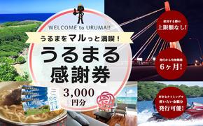 うるまる感謝券　3000円分