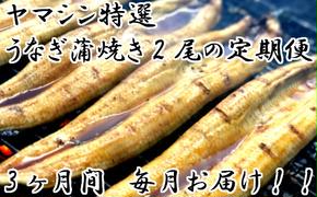 ヤマシン特選うなぎ蒲焼き2本定期便　計3回お届け