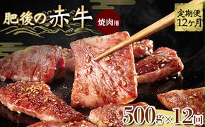 FKK19-841_【12ヵ月定期】肥後の赤牛 焼肉用 500g