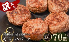 訳アリ 淡路島玉ねぎと国産牛のミニハンバーグ2.8kg　40ｇ×70個　　[訳あり ハンバーグ お弁当 ハンバーグ ハンバーグ ハンバーグ ハンバーグ ハンバーグ ハンバーグ ハンバーグ ハンバーグ ハンバーグ ハンバーグ ハンバーグ ハンバーグ ハンバーグ]