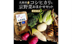 【数量限定販売】乳酸菌米コシヒカリと京野菜おまかせセット　≪予約≫　※11月1日より順次発送			