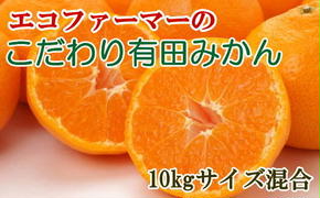 エコファーマーのこだわり有田みかん約10kg(サイズ混合)
※着日指定不可
※2024年11月中旬～2025年1月中旬頃に順次発送予定