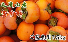 ≪柿の名産地≫九度山の富有柿約7.5kgご家庭用
※着日指定不可
※2024年11月上旬～12月上旬頃に順次発送予定