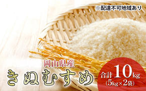 米 特A ランク きぬむすめ 10kg （5kg×2袋） 令和6年産 こめ コメ 白米 岡山県産