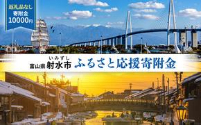 富山県射水市　応援寄附（返礼品なし） 10,000円