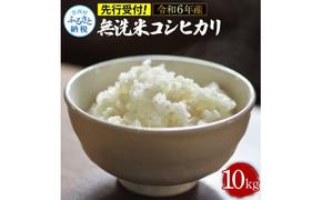 先行予約 令和6年産 無洗米コシヒカリ10キロ 5kg×2 10kg 米 白米 精米 新米 むせんまい こしひかり コシヒカリ ブランド米 おこめ こめ 飯 ご飯 ごはん おにぎり おいしい 人気 ギフト