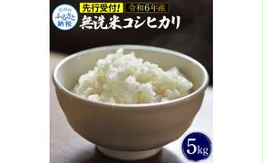 先行予約 令和6年産 無洗米コシヒカリ5キロ 5kg 米 白米 精米 新米 むせんまい こしひかり コシヒカリ ブランド米 おこめ こめ 飯 ご飯 ごはん おにぎり おいしい 常温 人気 ギフト