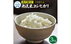 先行予約 令和6年産 無洗米コシヒカリ3キロ 3kg 米 白米 精米 新米 むせんまい こしひかり コシヒカリ ブランド米 おこめ こめ 飯 ご飯 ごはん おにぎり おいしい 常温 人気 ギフト