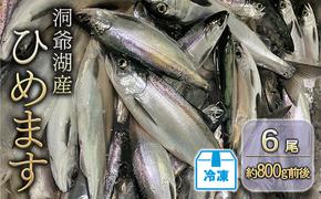 洞爺湖産ひめます6尾(約800g前後)冷凍