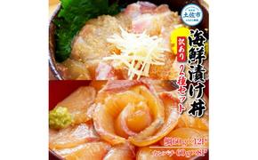 訳あり海鮮漬け丼（タイ12P・カンパチ8P）セット 漬け丼 漬け 鯛 かんぱち 勘八 白身魚 食べ比べ 海鮮 魚 冷凍 食品 保存食 小分け 高知 土佐 海鮮丼 漬け丼 ぶっかけ 鯛めし 惣菜 そうざい 訳アリ わけあり 不揃い 規格外 故郷納税 返礼品