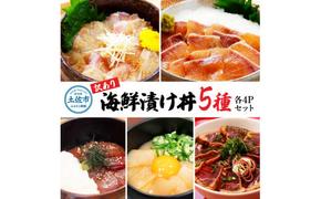 訳あり 海鮮漬け丼 （5種×各4P）セット 1袋約60g 合計1220g 鰤 ブリ まぐろ 醤油 漬け 鯛 刺身 冷凍 マグロ 赤身 かつおたたき 鰹 イカ いか 海鮮丼 海鮮セット 高知県 土佐市