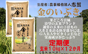 【12ヶ月定期便】宮城県岩沼市産 志賀沢米 金のいぶき 玄米10kg(5kg×2）