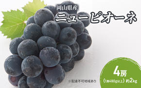 ぶどう 2025年 先行予約 ニューピオーネ 4房(1房480g以上) ブドウ 葡萄 岡山県産 国産 フルーツ 果物 ギフト