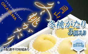 桃 2024年 先行予約  岡山県産 白桃 冬桃がたり 3個入り 約600g もも モモ 岡山県産 国産 フルーツ 果物 ギフト