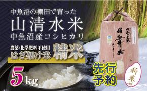 【新米先行受付】新潟県魚沼産コシヒカリ◇精米５kg 栽培期間中農薬・化学肥料不使用「山清水米」はざ架け米