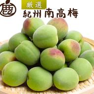 ＜6月発送＞厳選 紀州南高梅(青梅)1kg+30g（傷み補償分）◇【朝摘み・とれたて直送便】【梅干し・梅酒・梅ジュース】【和歌山産】※北海道・沖縄・離島への配送不可 ※2025年6月上旬～6月下旬頃に順次発送予定