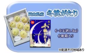 桃 2024年 先行予約 冬桃がたり6～9玉（約1.3kg）化粧箱入り もも モモ 岡山県産 国産 フルーツ 果物 セット ギフト