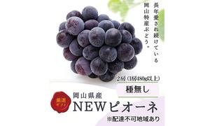 ぶどう 2025年 先行予約 ニューピオーネ2房(1房480g以上) 化粧箱入り ブドウ 葡萄 岡山県産 国産 フルーツ 果物 ギフト