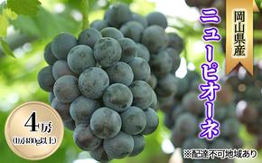 ぶどう 2025年 先行予約 ニューピオーネ4房(1房480g以上) ブドウ 葡萄 岡山県産 国産 フルーツ 果物 ギフト